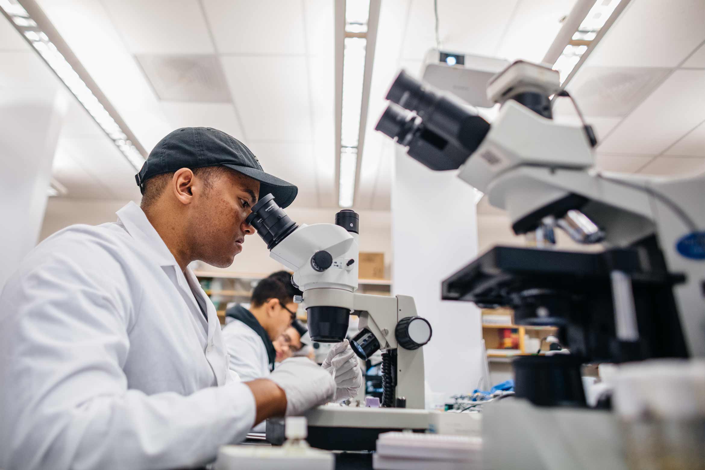 Undergrad student in biology class