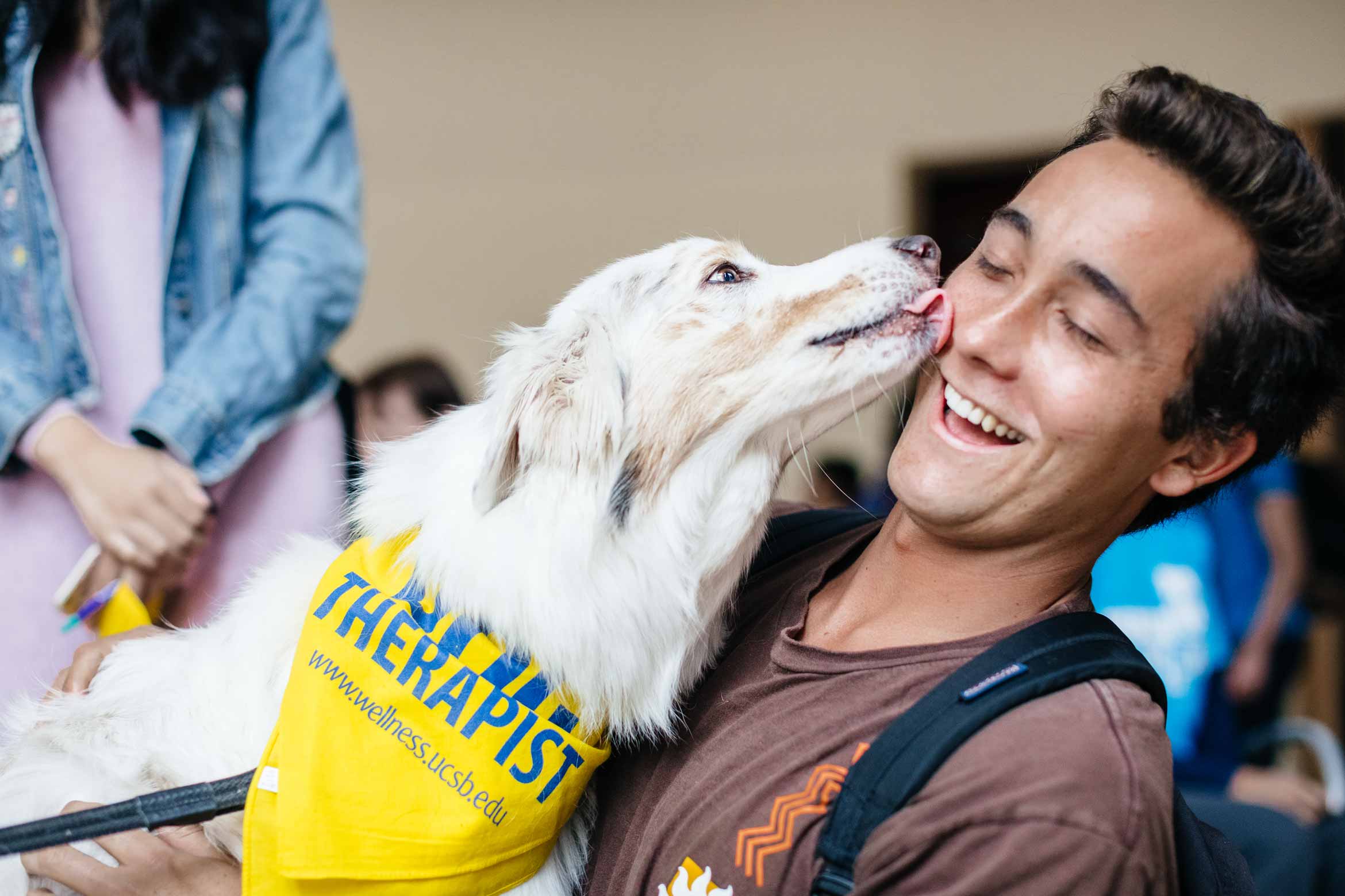 therapy dog
